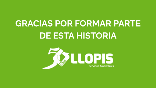 Navidad Grupo Llopis