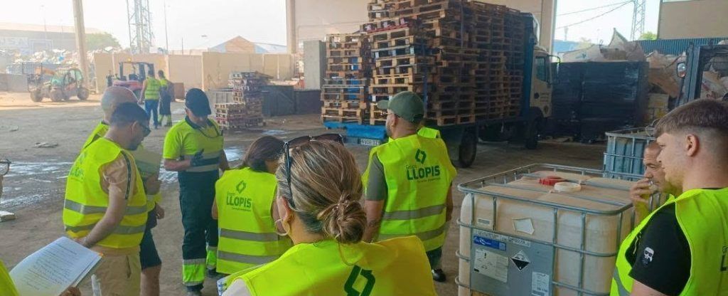 formación empleo verde