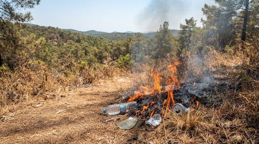 incendios forestales